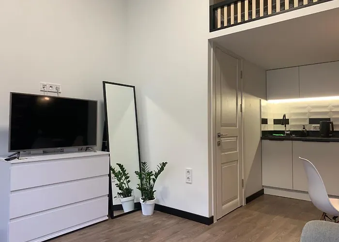 Mini - в центрі біля форуму * Lviv